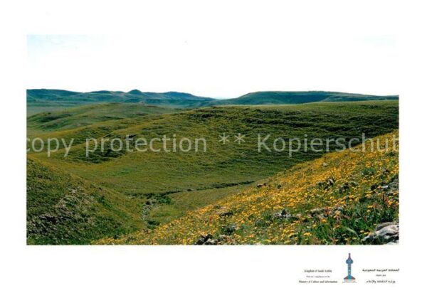 Riyadh Springtime at Rowdah Nourah Landschafts