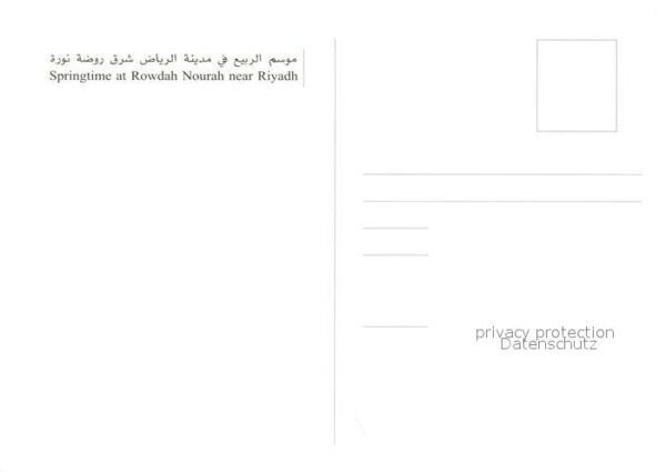 Riyadh Springtime at Rowdah Nourah Landschafts – Bild 2