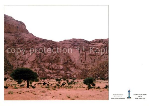 Al Quassem Tukhfah Mountains Landschaftspanorama B
