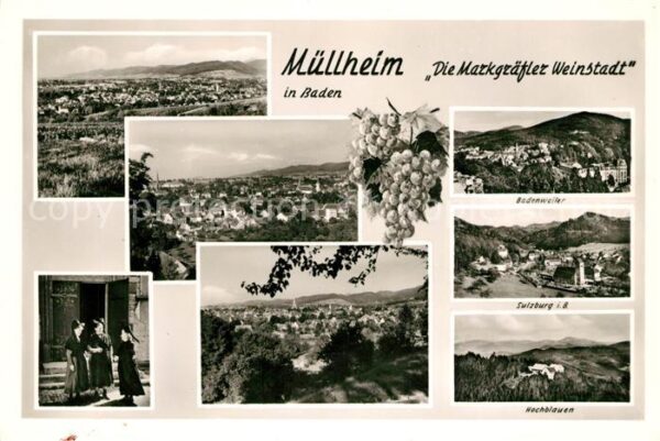 Muellheim Baden Badenweiler Sulzburg Hochblauen Panoram