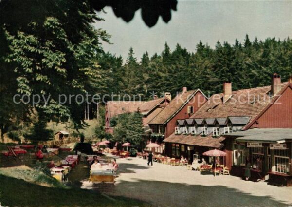 Bad Harzburg Harzhotel Molkenhaus