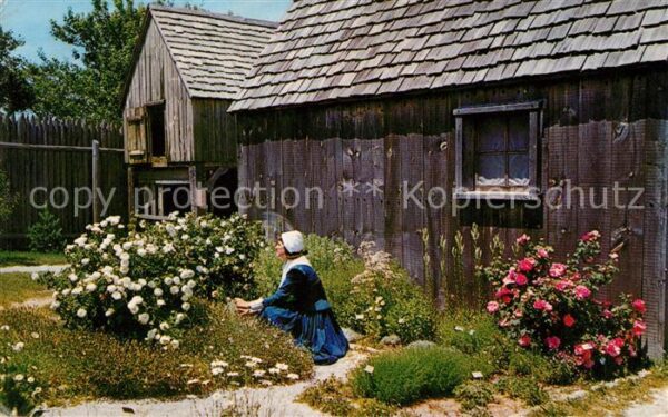 Plymouth Massachusetts Garden Medicinal Herbs