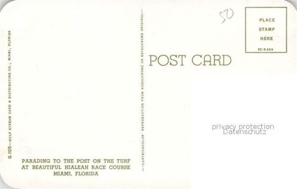 Miami Florida Parading Post on the Turf Hialeah Race – Bild 2
