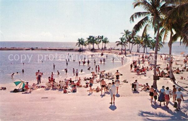 Miami Florida Strand Matheson Hammock
