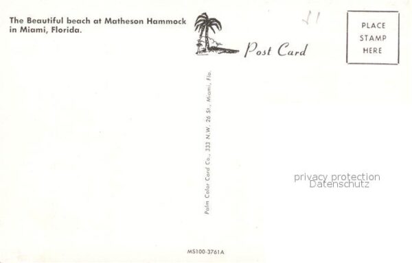 Miami Florida Strand Matheson Hammock – Bild 2