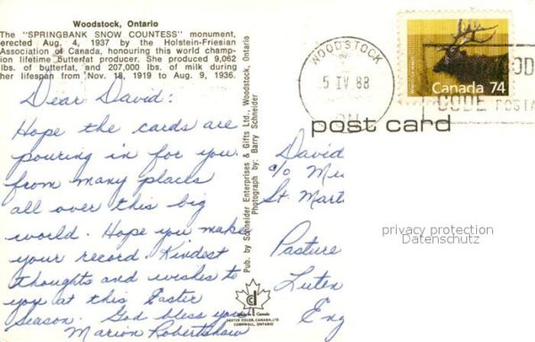 Woodstock Ontario Springbank Snow Countess – Bild 2
