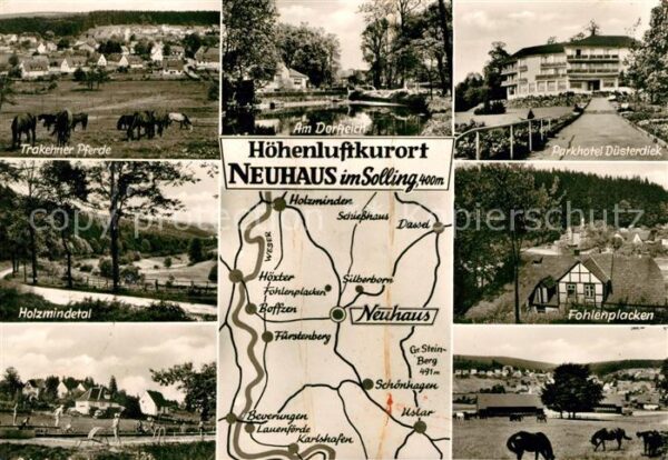 Neuhaus Solling Parkhotel Düsterdiek Fohlenplacken Holz