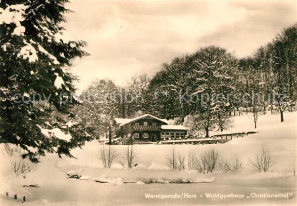 Wernigerode Harz Waldgasthaus Christianental Winterlands
