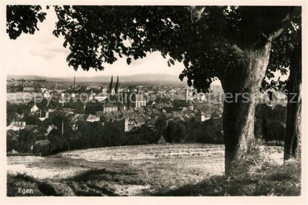 Eger Cheb Tschechien Stadtpanorma Blick vom Waldrand aus