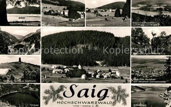 Saig Schwarzwald Titisee Panorama Hochfirst Feldberg Höl