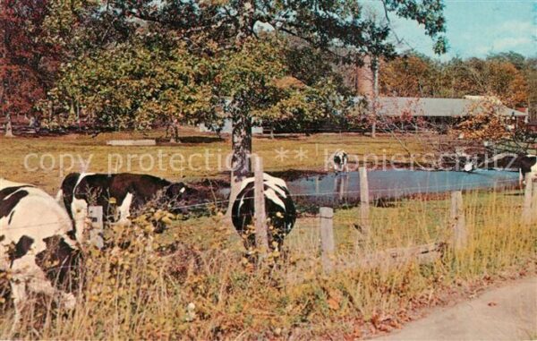 Kuehe Rural Long Island Suffolk County
