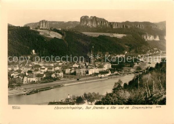 Foto Hahn Nr. 3616 Elbsandsteingebirge Bad Schandau S