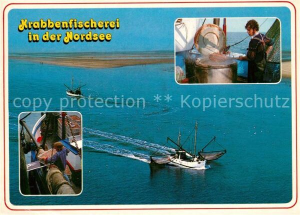 Fischerei Krabbenfischerei Nordsee