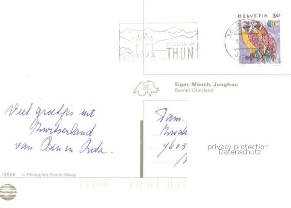 Alphorn Alphornbläser Eiger Mönch Jungfrau – Bild 2