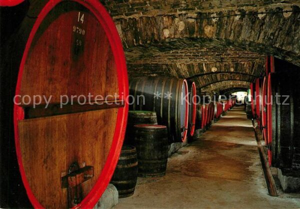 Wein Mayschoss Rotweinkeller