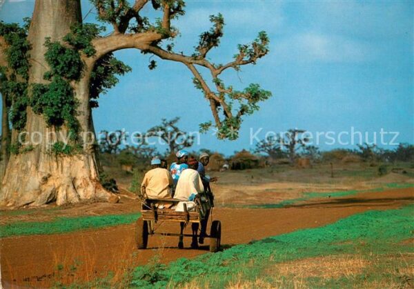 Typen Afrika Transport Traditionnel