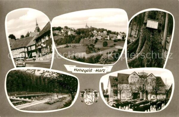 Hohegeiss Harz Müllers Hotel Schwimmbad