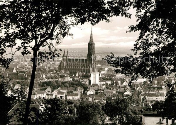 Ulm Donau Münster