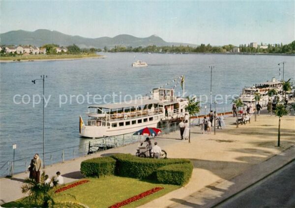 Bonn Rhein Rheinpromenade mit Blick zum Siebengebi