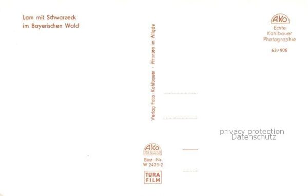 Lam Oberpfalz mit Schwarzeck – Bild 2