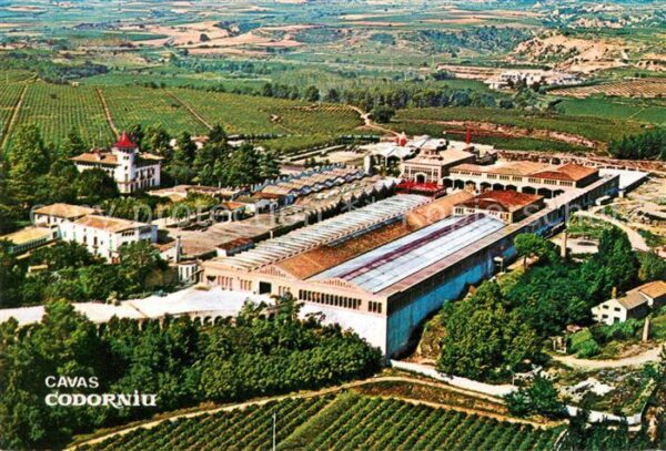 Cavas Codorniu Fliegeraufnahme