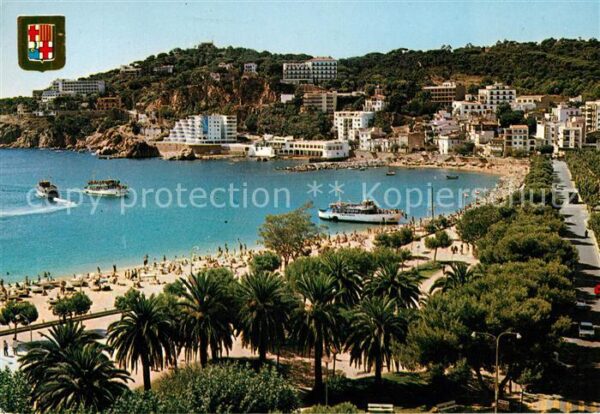 San Feliu de Guixols La Conca Strand Promenade Palmen
