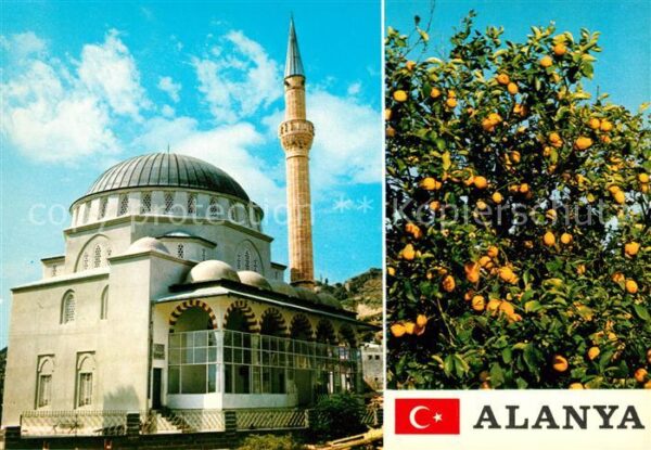 Alanya Moschee Zitronenbaum