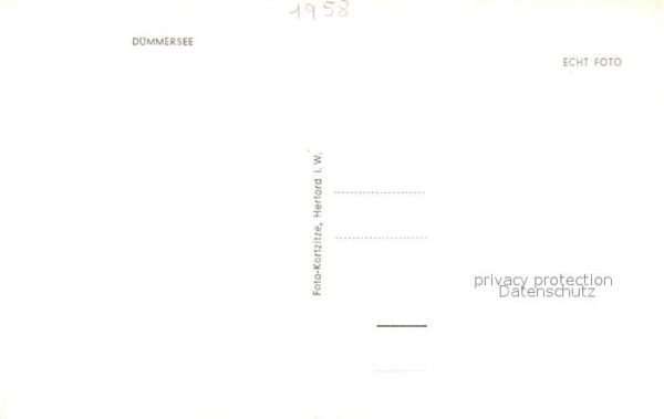 Segelboote Dümmersee – Bild 2