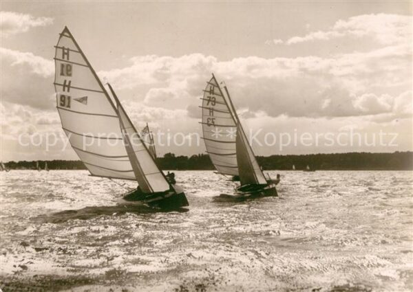Segelboote Regatta Steinhuder Meer