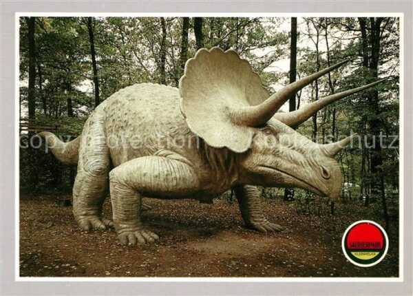 Dinosaurier Triceratops Saurierpark Kleinwelka