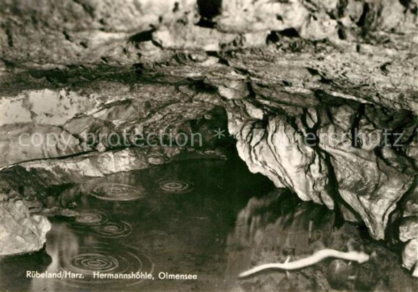 Hoehlen Caves Grottes Hermannshöhle Olmensee Rübeland