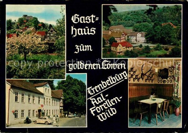 Trendelburg Gasthof zum goldenen Löwen