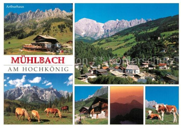 Muehlbach Hochkoenig Arthurhaus Gesamtansicht mit Alpenpanor