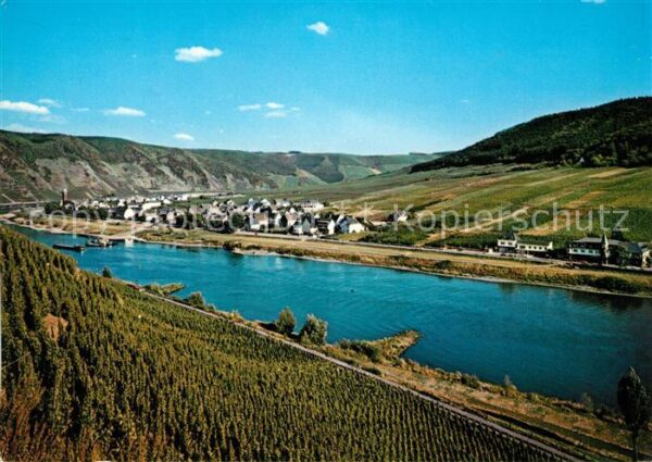 Ernst Cochem Panorama Moseltal Weinberge Cornely Kar