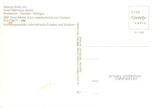 Ernst Cochem Panorama Moseltal Weinberge Cornely Kar – Bild 2