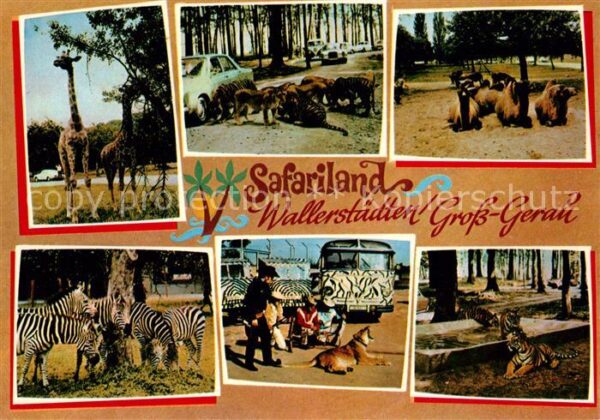 Wallerstaedten Safariland Tiere
