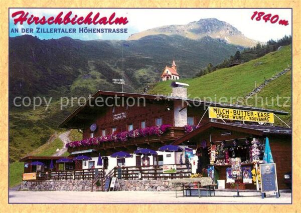 Mayrhofen Zillertal Alpengasthaus Hirschbichlalm Zillertale