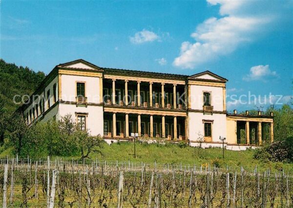 Edenkoben Schloss Villa Ludwigshöhe Serie Burgen