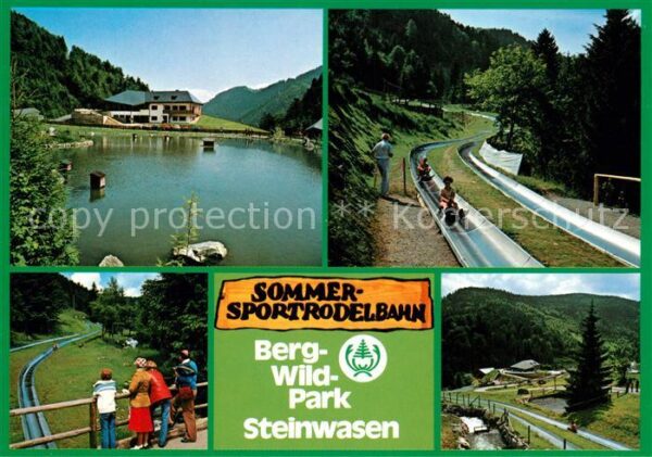 Todtnau Berg Wild Park Steinwasen Schwanenteich