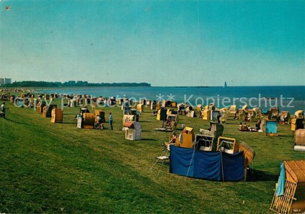 Cuxhaven Nordseebad Grünstrand in der Grimmenhörnbucht Kuge