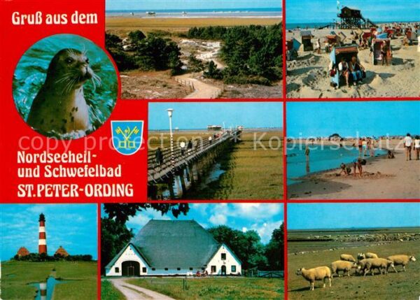 St Peter-Ording Seehund Strand Brücke zur Sandbank Leuc