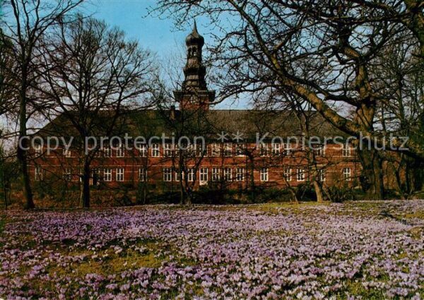 Husum Nordfriesland Krokusblüte Schlosspark