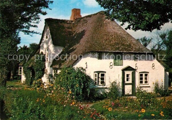 Amrum Friesenhaus