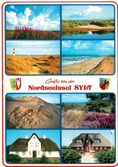 Insel Sylt Dünen Heidekraut