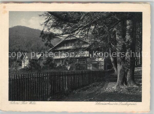 Tabarz Schweizerhaus im Lauschagrund