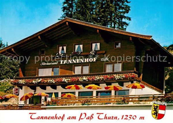 Mittersill Oberpinzgau Cafe Restaurant Tannenhof am Pass Thurn