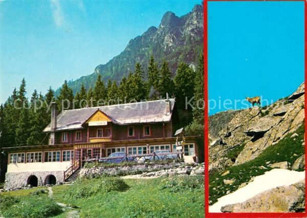 Vysoke Tatry Chata Kamzik Berghaus Hohe Tatra Gemse