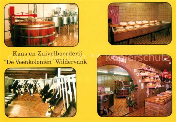 Wildervank Kaas en Zivelboerderij De Veenkolonien