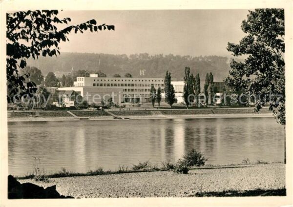 Bonn Rhein Bundeshaus Rheinansicht