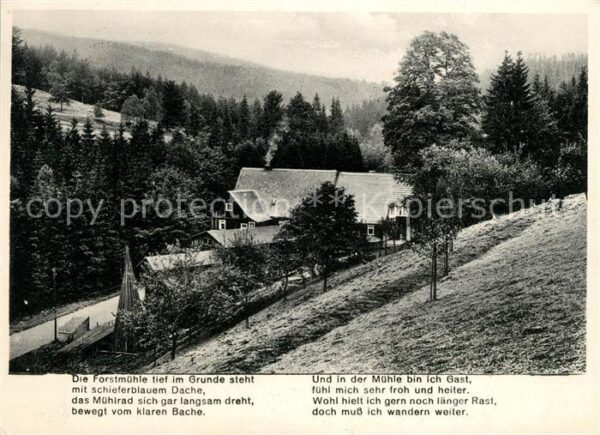 Krippen Bad Schandau Forstmühle im Krippengrund
